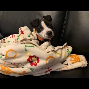 Meet your Posher, Gabriel